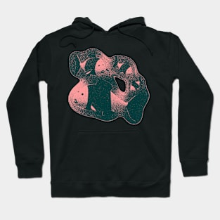 4 Pink Fishes Hoodie